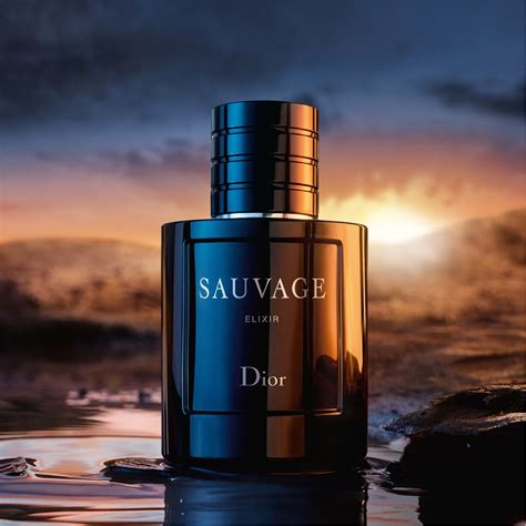 dior sauvage elixir eau de parfum 100ml spray|Dior elixir 100ml price.